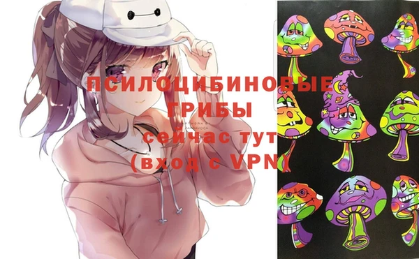 MESCALINE Коряжма