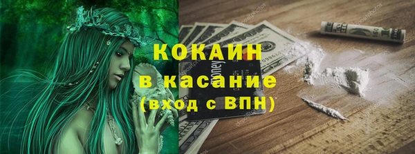 соль ск Козловка