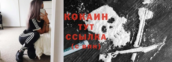 соль ск Козловка