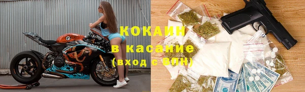 соль ск Козловка