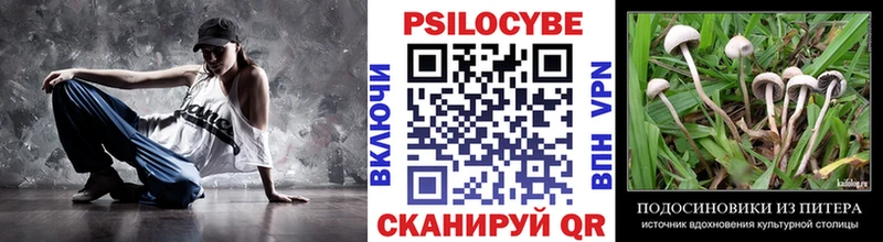 Купить закладки  Белозерск  Галлюциногенные грибы мухоморы 